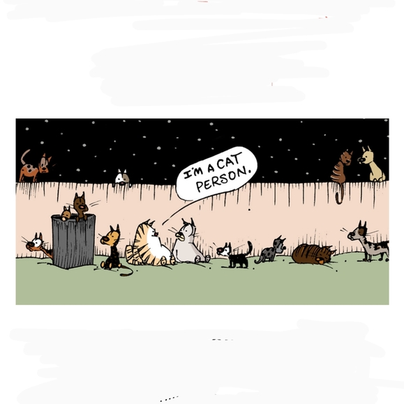 Meet your Posher, Carol - Picture 6 of 9